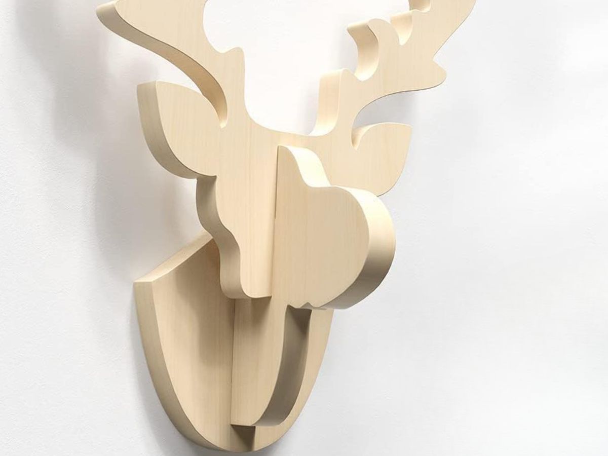 Creality s1 10w en detalle